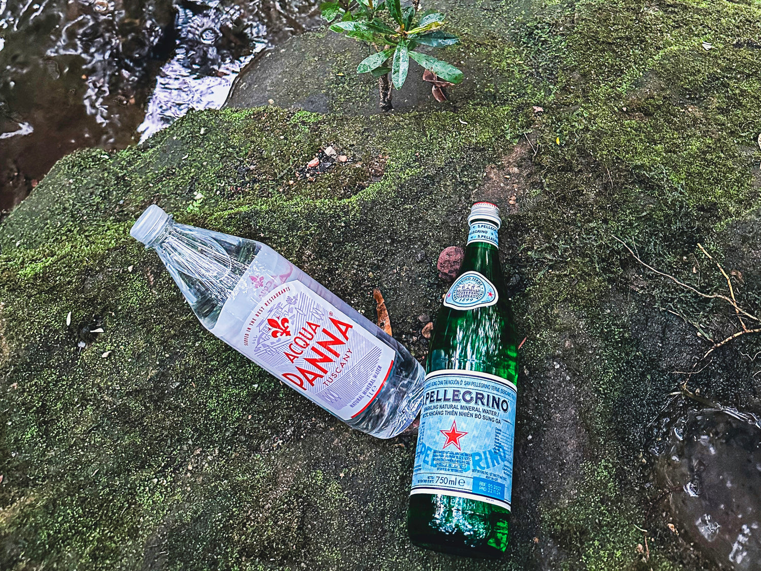 The Hydration Essentials